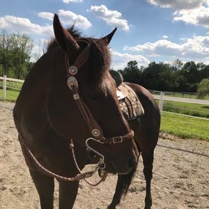 Meet your Posher, Lindsey